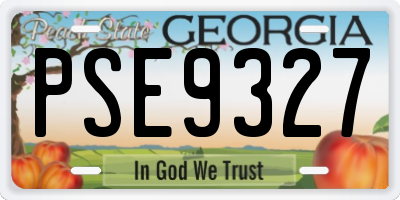 GA license plate PSE9327