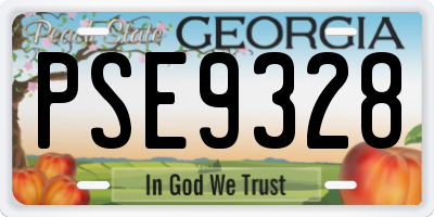 GA license plate PSE9328