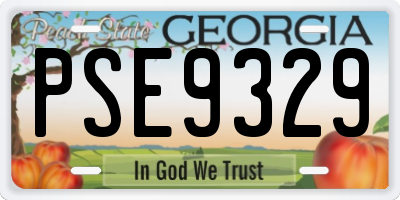 GA license plate PSE9329