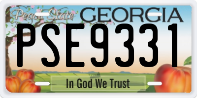 GA license plate PSE9331