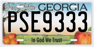 GA license plate PSE9333