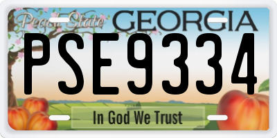 GA license plate PSE9334