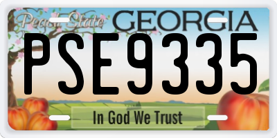 GA license plate PSE9335