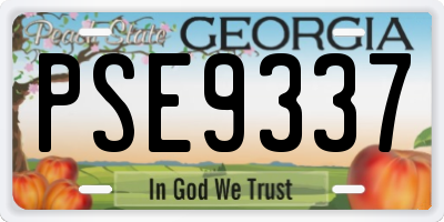 GA license plate PSE9337