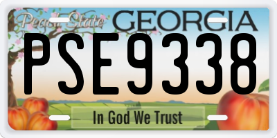 GA license plate PSE9338
