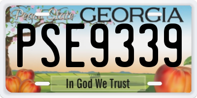 GA license plate PSE9339