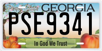 GA license plate PSE9341