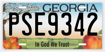 GA license plate PSE9342