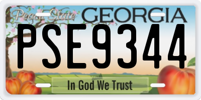 GA license plate PSE9344