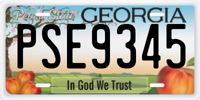 GA license plate PSE9345