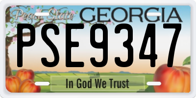 GA license plate PSE9347