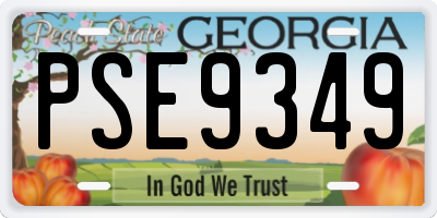 GA license plate PSE9349