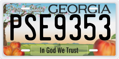 GA license plate PSE9353