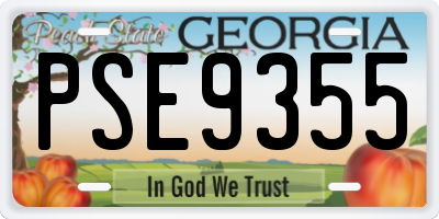 GA license plate PSE9355
