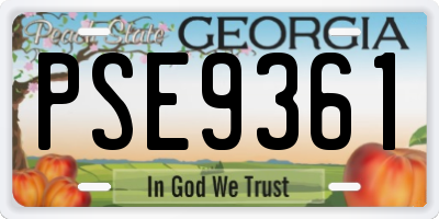 GA license plate PSE9361