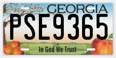 GA license plate PSE9365