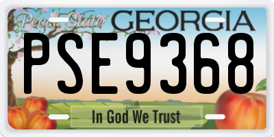 GA license plate PSE9368