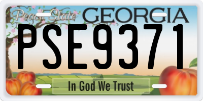 GA license plate PSE9371