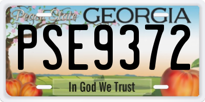 GA license plate PSE9372