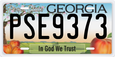 GA license plate PSE9373
