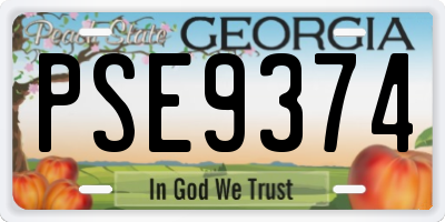 GA license plate PSE9374