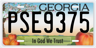 GA license plate PSE9375