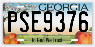 GA license plate PSE9376