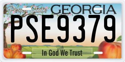 GA license plate PSE9379