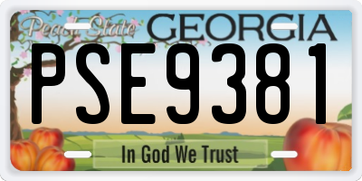 GA license plate PSE9381