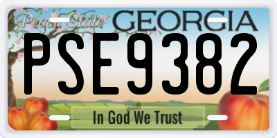 GA license plate PSE9382