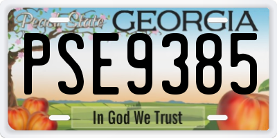 GA license plate PSE9385