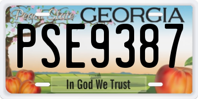 GA license plate PSE9387