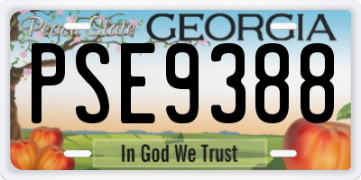 GA license plate PSE9388