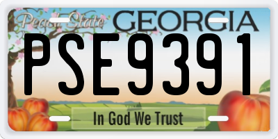 GA license plate PSE9391