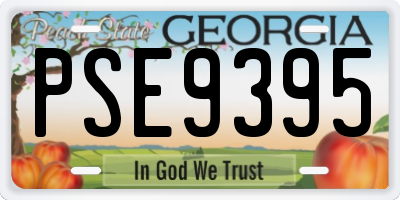GA license plate PSE9395