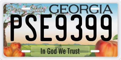 GA license plate PSE9399