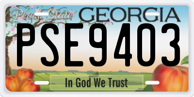 GA license plate PSE9403