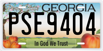GA license plate PSE9404