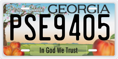 GA license plate PSE9405