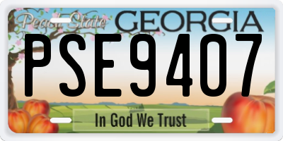 GA license plate PSE9407
