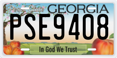 GA license plate PSE9408
