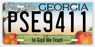 GA license plate PSE9411