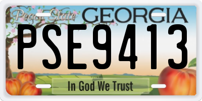 GA license plate PSE9413