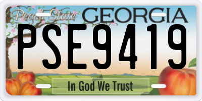 GA license plate PSE9419