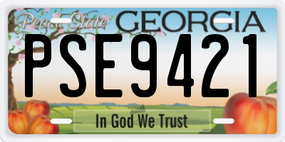 GA license plate PSE9421