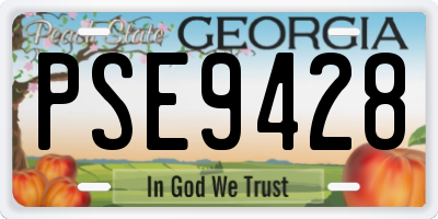 GA license plate PSE9428