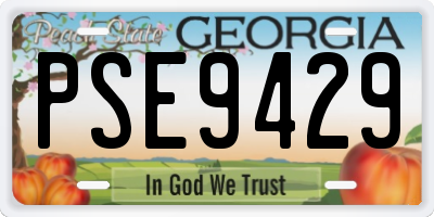 GA license plate PSE9429