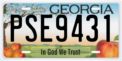 GA license plate PSE9431