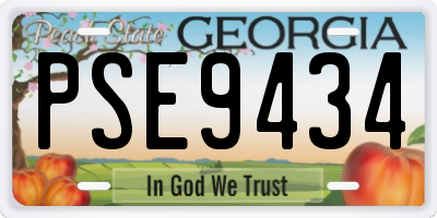 GA license plate PSE9434