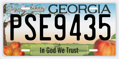GA license plate PSE9435